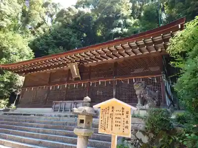 宇治上神社の本殿・本堂