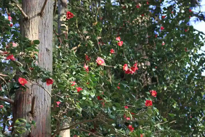 阿久津「田村神社」(郡山市阿久津町)旧社名:伊豆箱根三嶋三社の庭園