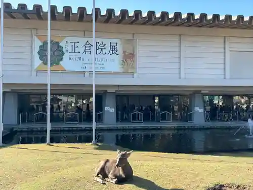 東大寺(奈良県)