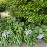 西生寺(福岡県)