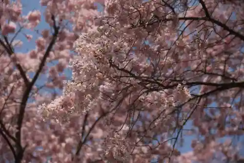 上石不動堂(福島県)