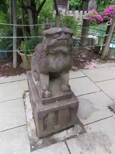 鳩森八幡神社の狛犬