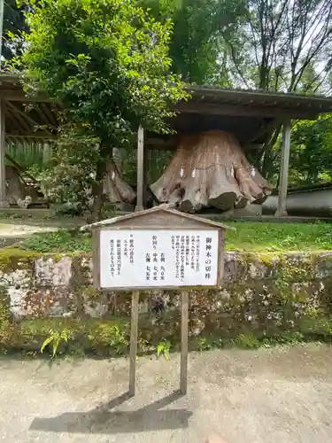 宇奈岐日女神社の建物その他