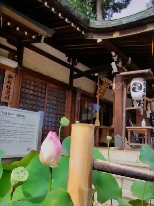 下高井戸八幡神社(東京都)