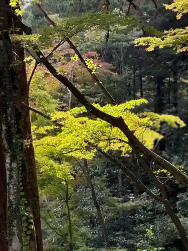 大矢田神社(岐阜県)