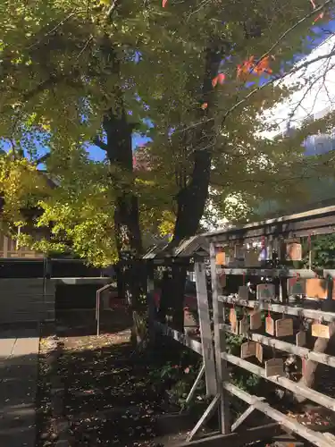 福住厳島神社の自然