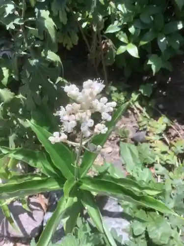 三輪神社の自然