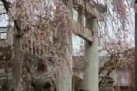 安達太良神社の鳥居