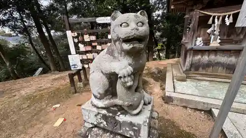 金刀比羅神社の狛犬