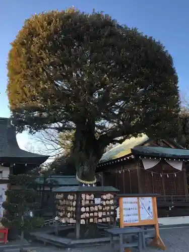足利織姫神社(栃木県)