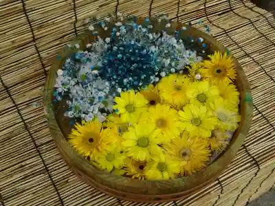 阿邪訶根神社の芸術