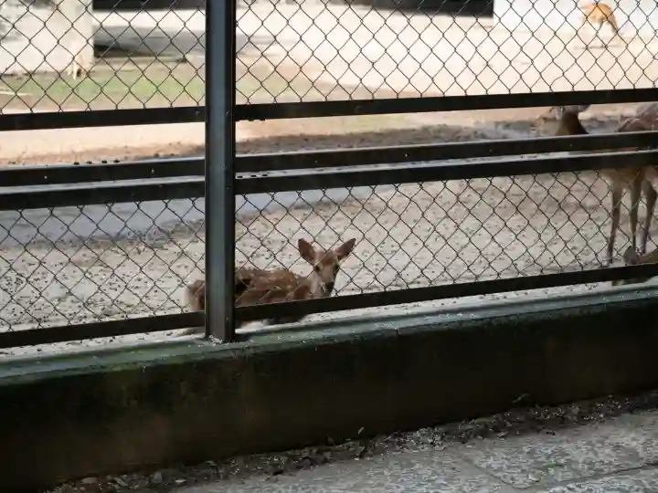 鹿島神宮(茨城県)