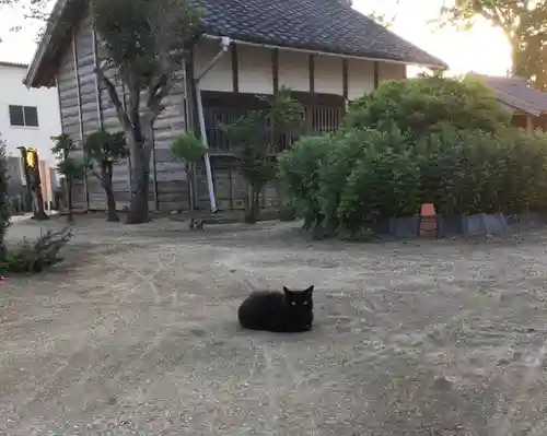 慈雲山 安楽寺の動物
