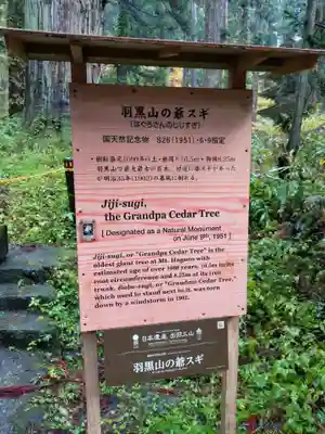羽黒山五重塔(出羽三山神社)(山形県)