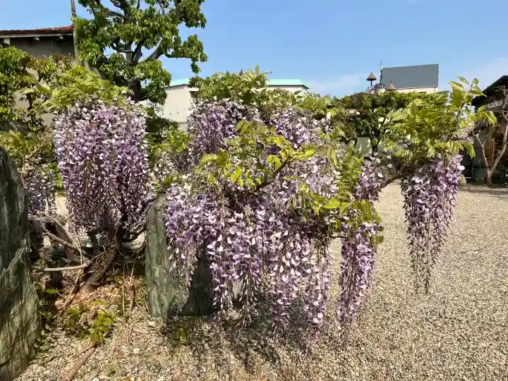 荘嚴浄土寺(大阪府)