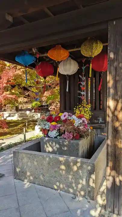 勝林寺(京都府)