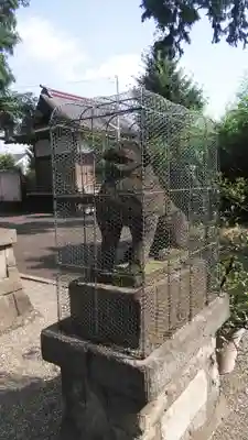 御霊神社の狛犬