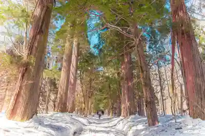 戸隠神社奥社(長野県)