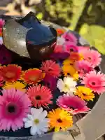 神楽坂安養寺(東京都)