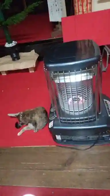 大王寺(石川県)