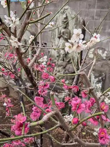 田端神社(東京都)
