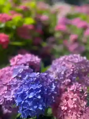 秋葉總本殿可睡斎(静岡県)