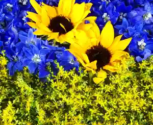 真言宗 善通寺派 薬王寺(香川県)(2022年05月06日(金) 18時42分16秒投稿)