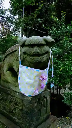 菊田神社の狛犬