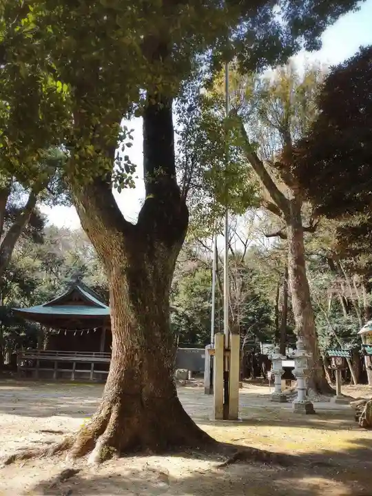 神明神社の自然