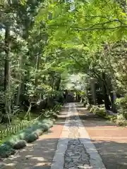 寿福寺(神奈川県)