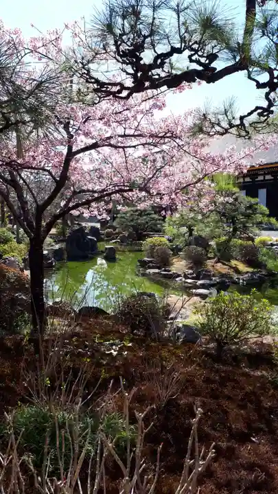 蓮華王院(三十三間堂)(京都府)