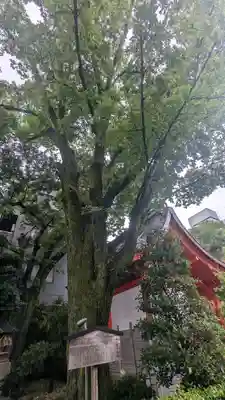 安井金比羅宮(京都府)