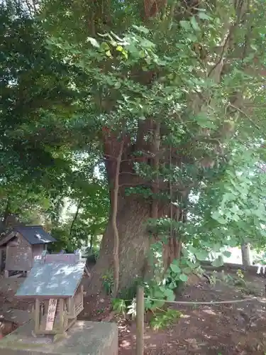 鹿嶋神社(茨城県)