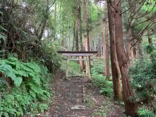 平野大神の鳥居