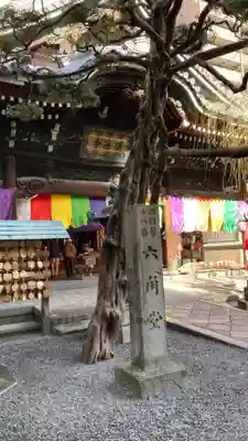 頂法寺(六角堂)の本殿・本堂