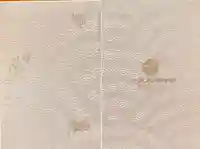 小野照崎神社の御朱印