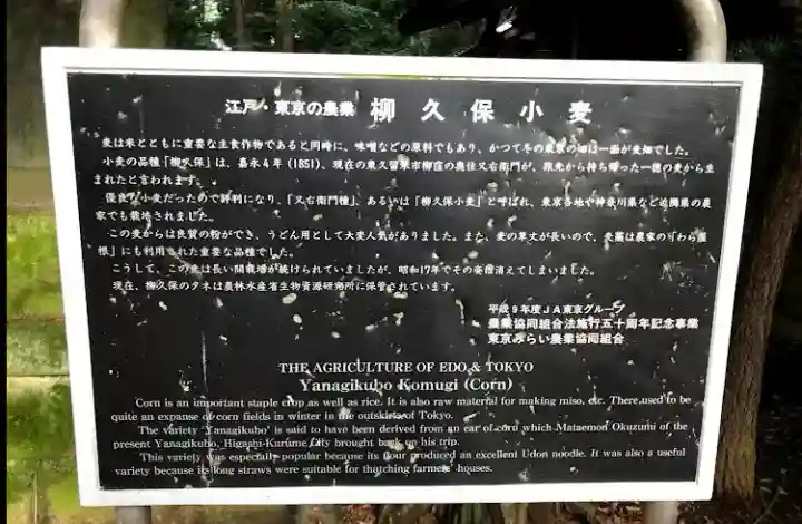 柳窪天神社(黒目川天神社) (東京都)