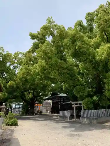 金岡神社のその他建物