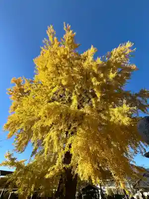 丹生酒殿神社(和歌山県)