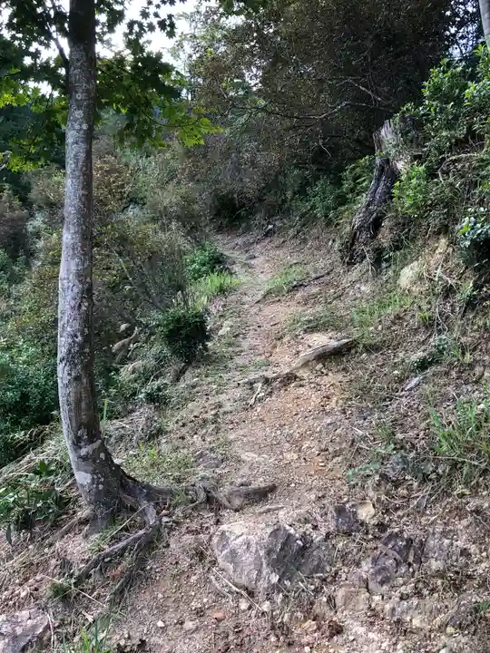 鳥居観音の自然