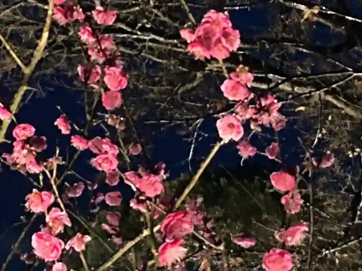 長谷寺の{uncategorized: "未分類", other: "その他", undefined: "問題あり", building: "その他建物", grave: "お墓", sacred_gate: "鳥居", guardian: "狛犬", statue: "像", buddha: "仏像", history: "歴史", nature: "自然", garden: "庭園", animal: "動物", pagoda: "塔", temizu: "手水舎", mountain_gate: "山門・神門", sanctuary: "本殿・本堂", subordinate: "末社・摂社", art: "芸術", scenery: "景色", jizo: "地蔵", ema: "絵馬", goshuin: "御朱印", omikuji: "おみくじ", items: "授与品その他", amulet: "お守り", goshuincho: "御朱印帳", eats: "食事", festival: "お祭り", votive_dance: "神楽", shichigosan: "七五三参", wedding: "結婚式", experience: "体験その他", initially: "初詣", around: "周辺", anti_infection: "感染症対策"}