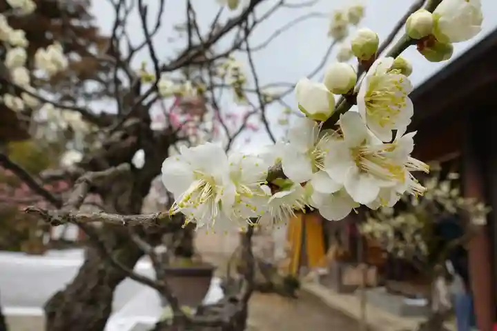 菅原天満宮(菅原神社)のその他建物
