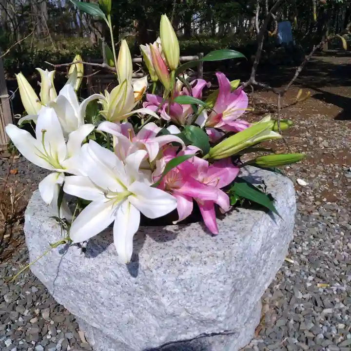 厚別神社(北海道)