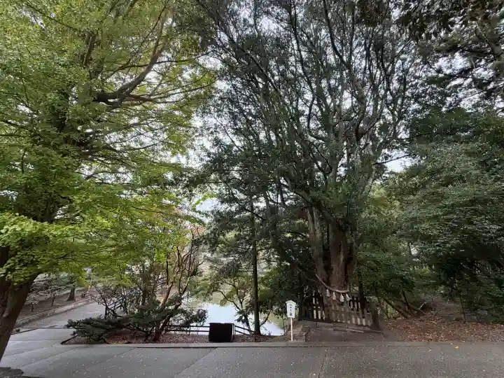 安房神社(千葉県)