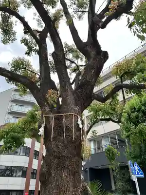 太田姫稲荷神社(東京都)