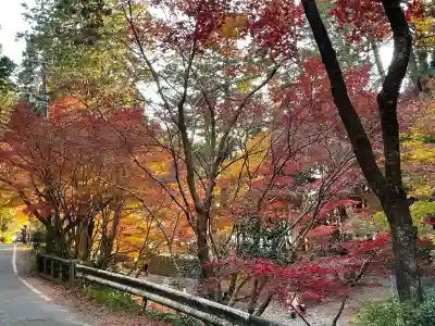 小國神社(静岡県)