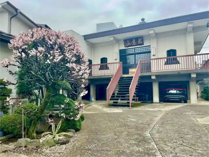 正法寺の{uncategorized: "未分類", other: "その他", undefined: "問題あり", building: "その他建物", grave: "お墓", sacred_gate: "鳥居", guardian: "狛犬", statue: "像", buddha: "仏像", history: "歴史", nature: "自然", garden: "庭園", animal: "動物", pagoda: "塔", temizu: "手水舎", mountain_gate: "山門・神門", sanctuary: "本殿・本堂", subordinate: "末社・摂社", art: "芸術", scenery: "景色", jizo: "地蔵", ema: "絵馬", goshuin: "御朱印", omikuji: "おみくじ", items: "授与品その他", amulet: "お守り", goshuincho: "御朱印帳", eats: "食事", festival: "お祭り", votive_dance: "神楽", shichigosan: "七五三参", wedding: "結婚式", experience: "体験その他", initially: "初詣", around: "周辺", anti_infection: "感染症対策"}