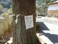 九頭龍神社のその他建物