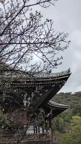 知恩院(京都府)