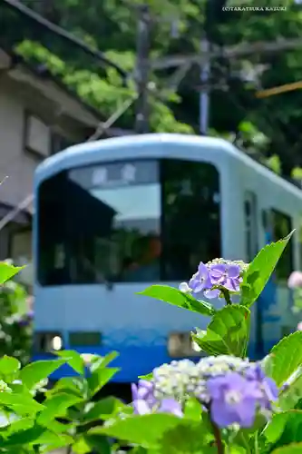 御霊神社の周辺